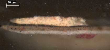 Fig.9 Cross-section through the yellow inscription on the brown background, photographed at x320 magnification. 