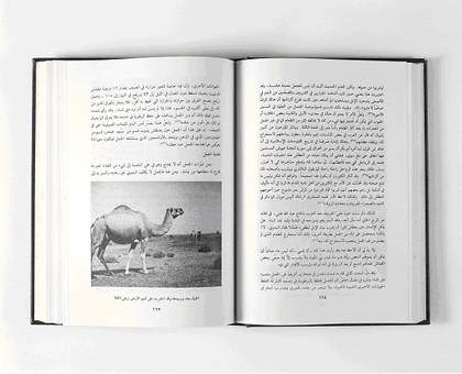 Akram Zaatari Untitled 2007