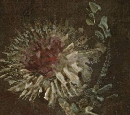 Mousehold Heath, detail of a thistle head