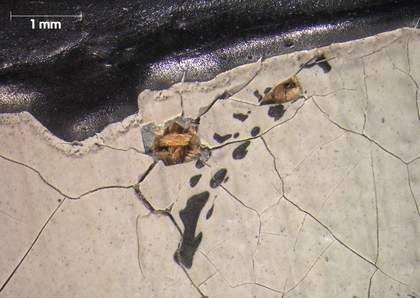 Micrograph showing losses in the white paint between the second and third fingers