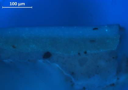 Cross-section of paint taken from loss, viewed under ultraviolet light, showing two distinct layers of white, with the bright spots in the upper layer indicating zinc white