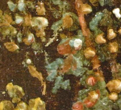 Mousehold Heath, macro detail of curly dock flowers