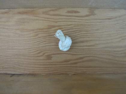 A piece of wood with the knotted end of a rope emerging from its surface.
