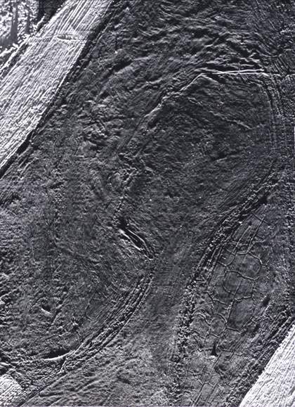 Detail from black and white photograph taken in 1979 of The Three Dancers under raking light from below, showing multiple heads for the right-hand figure