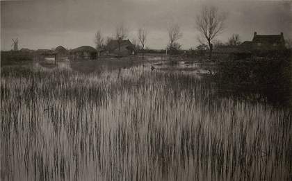 Peter Henry Emerson, A Rushy Shore 1886