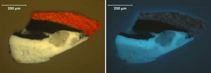 Cross-section from red area beneath the head of the left figure, showing grey ground, white with lead soap aggregates, black, white, black and red, in visible light and ultraviolet light