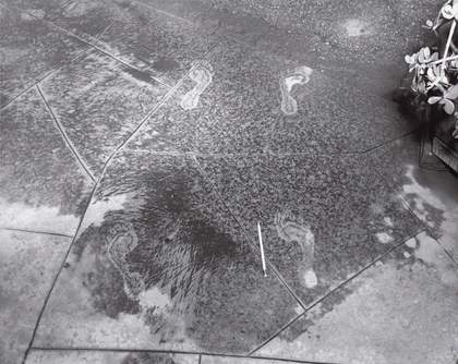 Larry Sultan and Mike Mandel, Untitled from Evidence 1977