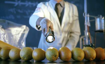 Larry Sultan and Mike Mandel, Untitled from Oranges on Fire 1975