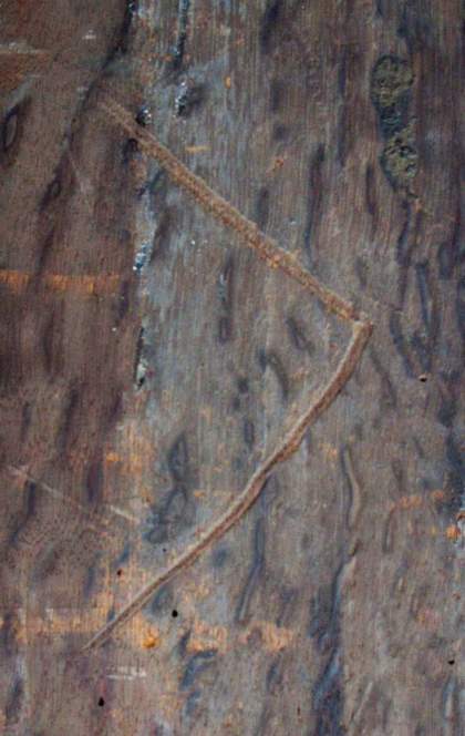 Detail of marking on the reverse of ?British School, 'Portrait of a Gentleman, probably of the West Family' c.1545–60