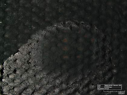 Hirox digital image of cleaning test