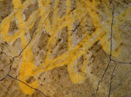 Fig.20 Detail at x8 magnification of the yellow lace trim of the veil, showing yellow paint applied on top of white