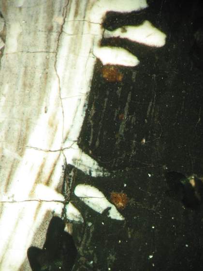 Fig.6 Detail at high magnification of the black doublet with grey underpaint and, below that, the reddish brown initial underpainting visible here and there