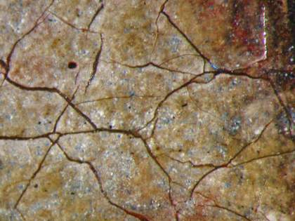 Fig.11 Detail of blue pigment in the white of the eye