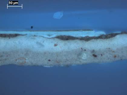 Fig.5 Cross-section through the top of the red book, photographed at x320 magnification in ultraviolet light.