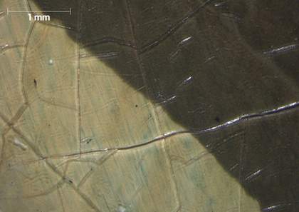 Micrograph of shirt and solid black outline showing blue layer between two layers of varnish
