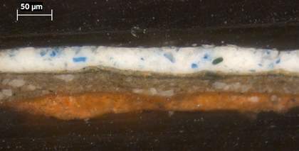 Fig.6 Cross-section through a highlight of the blue sash, photographed at x320 magnification.