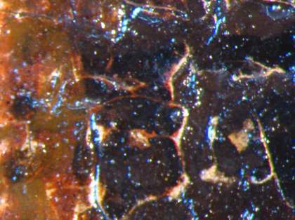 Fig.5 Micro-photograph of red underpaint beneath eye