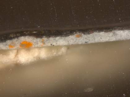 Fig.3 Cross-section through the tablecloth at the right edge, photographed at x320 magnification.