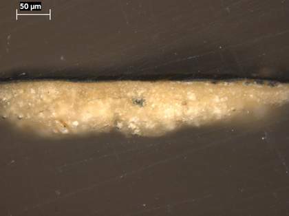 Fig.13 Cross-section through the black skirt, photographed at x225 magnification.