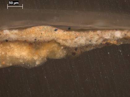 Fig.3 Cross-section through the stone ledge in the lower central foreground, photographed at x320 magnification. 
