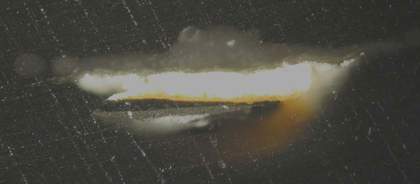 Fig.9 Cross-section through the gold chain and underlying black doublet in normal light. From the bottom: sliver of white ground; dark grey underpaint of doublet; black doublet; dark yellow of gold chain; highlight on gold chain