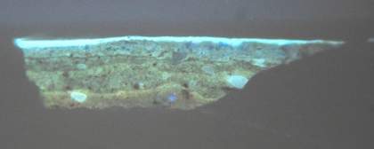 Fig.8 Cross-section through a shadowed area of the blue sash, photographed at x200 magnification in ultraviolet light.