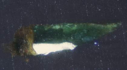 Fig.20 Cross-section through the translucent green glaze paint on a highlight of the green cloak, photographed at x320 magnification