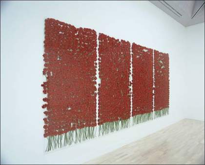 Anya Gallaccio preserve ‘beauty’ 1991-2003