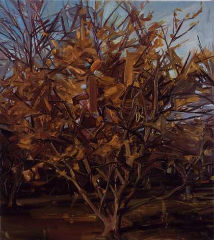 Gillian Carnegie Section, 2004