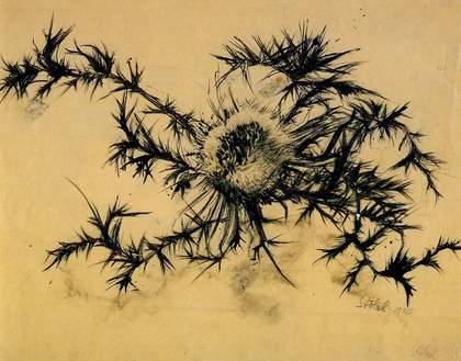 Gunta Stölzl Thistle