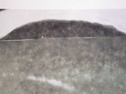 Fig.12 Insipid print on cigarette paper, lower part, darker print; on archival paper, top part.