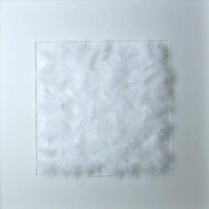Henk Peeters White Feathers 2003