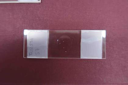 Hesse Addendum Nanorestart 2