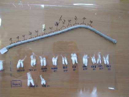 Mock-up rope