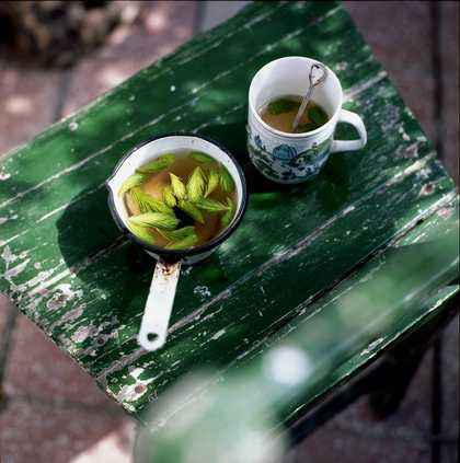 two glasses of herbal tea on a green table