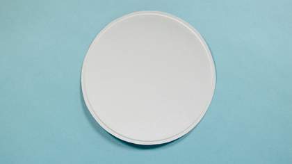 Photograph of a small paper plate