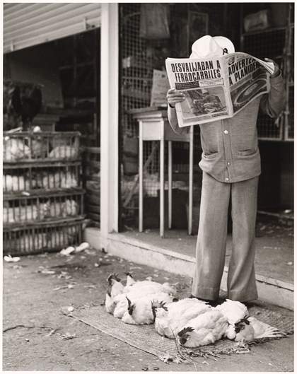 Photograph by Graciela Iturbide - Mercado de Sonora, Mexico City 1978