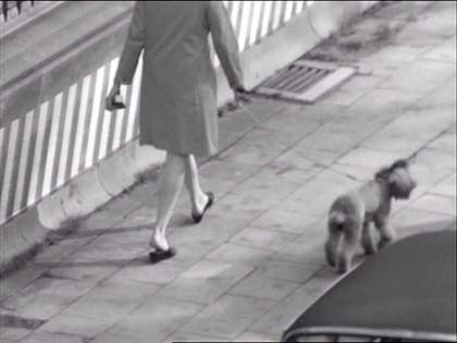Jef Cornelis Still from an untitled film made for Zoeklicht op de culturele actualiteit 1971