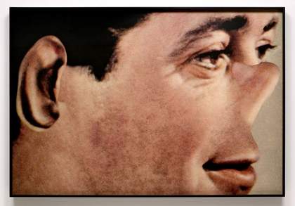 John Baldessari Noses and Ears Etc Part Three Altered Person Colour 2007