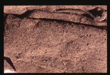 Joseph Beuys Felt Suit 1970 (detail of moth damage)