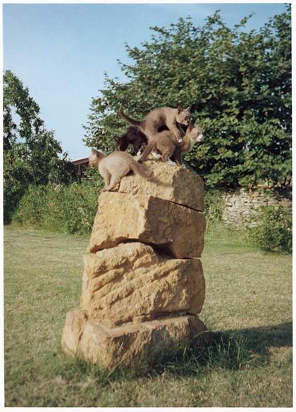 Kittens playing on Barry Flanagan Oil Rising