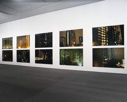 Knut Åsdam, Psychasthenia (10) 2000 © Tate Photography