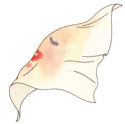 Illustration by Laura Callaghan