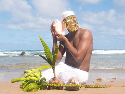 A figure in a sequin mask with plants and a conch shell