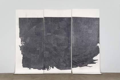 Lucy Skaer The Great Wave (Expanded) 2007