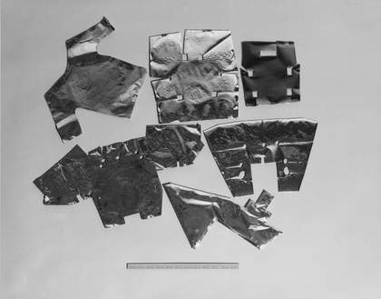 Untitled, from Larry Sultan and Mike Mandel's Evidence, 1977