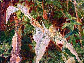 Detail of meadowsweet from Ophelia