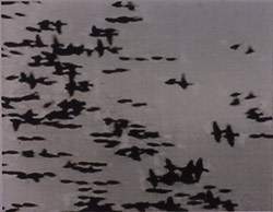 Michal Rovner Mutual Interest 1997