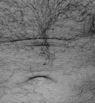 John Coplans Detail of Self-Portrait Torso Front 1984 one