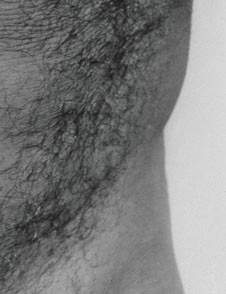 John Coplans Detail of Self-Portrait Torso Front 1984 two